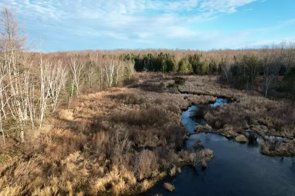 Crandon, WI 54511,10 Acres CTH N