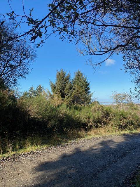 6777 Spring ST, Fields Landing, CA 95537