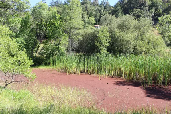 Garberville, CA 95542,625 Wallan RD