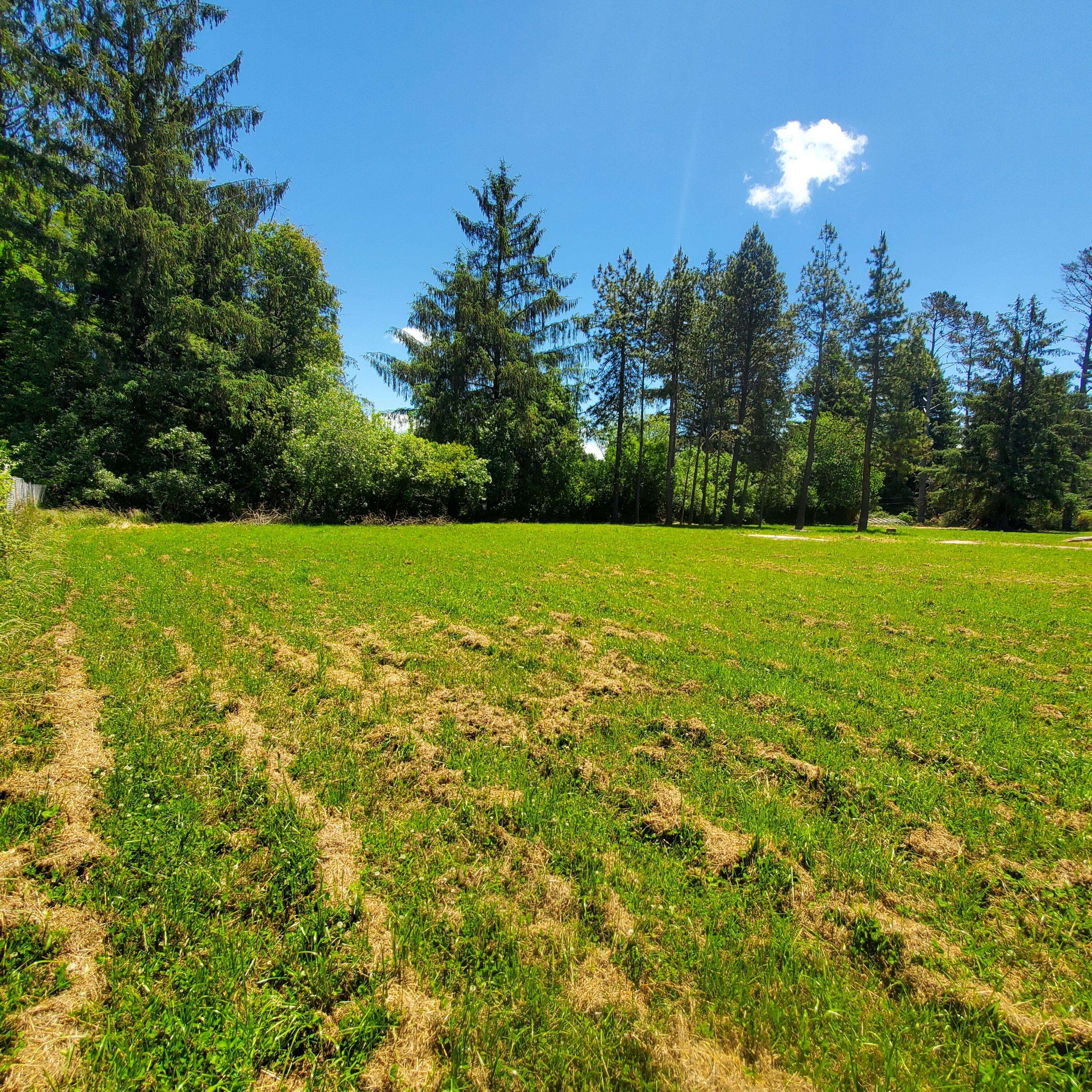 209 Kingston RD, Fieldbrook, CA 95519