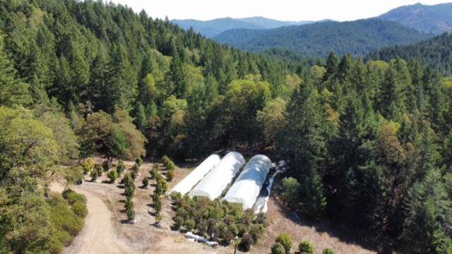 147 Acres Larabee Valley RD, Larabee Valley, CA 95526