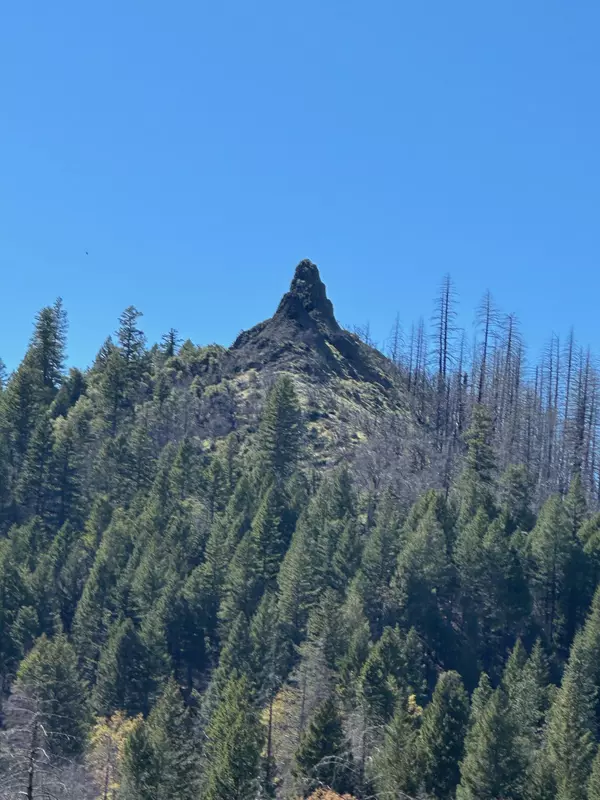 580 Marshall Creek RD, Ruth Lake, CA 95526