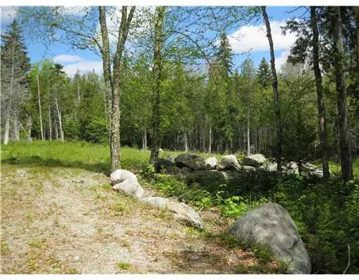 4 Carter Farm RD, Surry, ME 04684