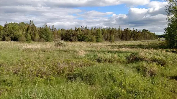 Lamoine, ME 04605,Lot 8 Woodcock LN