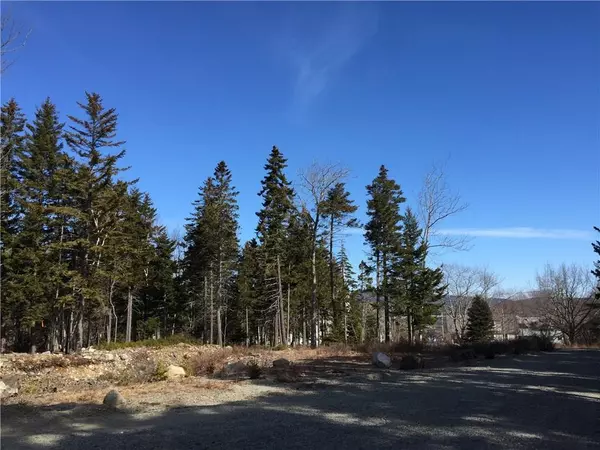 Southwest Harbor, ME 04679,8&10 Hyewood LN