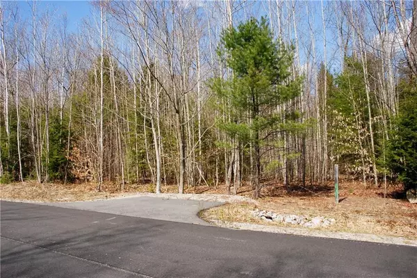 Conway, NH 03818,58 Grandview RD