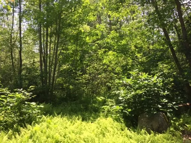 0 Toastie WALK, Brunswick, ME 04011