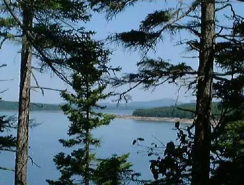 Winter Harbor, ME 04693,0 Summer Harbor RD