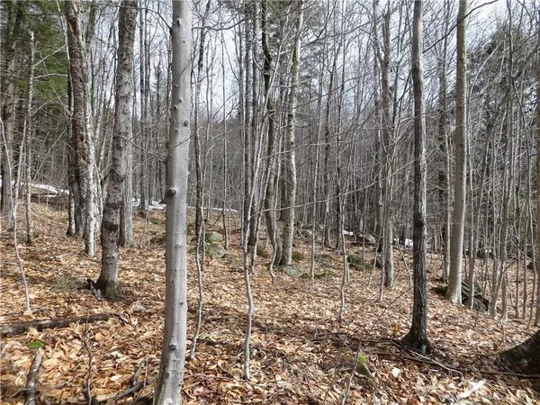Newry, ME 04261,Lot 61 Douglas RD