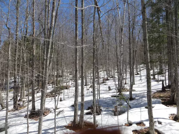 Newry, ME 04261,Lot 93 Vail DR