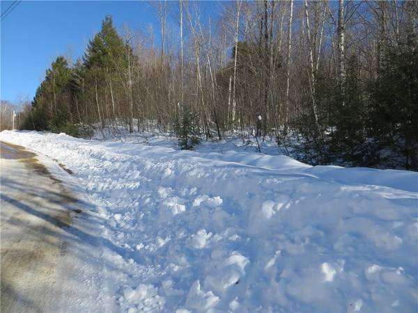 Lot 93 Vail DR, Newry, ME 04261