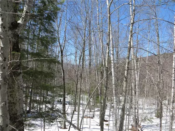 Newry, ME 04261,Lot 94 Vail DR