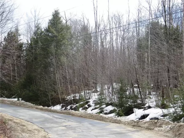 Newry, ME 04261,Lot 94 Vail DR