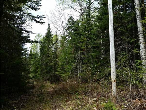 Rangeley Plt, ME 04970,Lot 3 Bemis Road