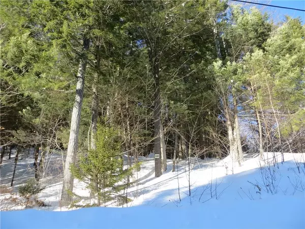 Newry, ME 04261,Lot 68 Douglas RD