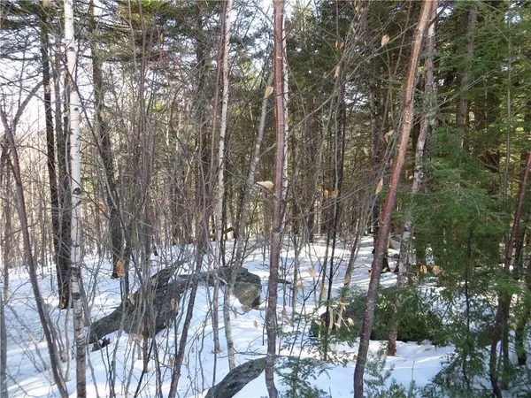 Newry, ME 04261,Lot 65 Snowbird LN