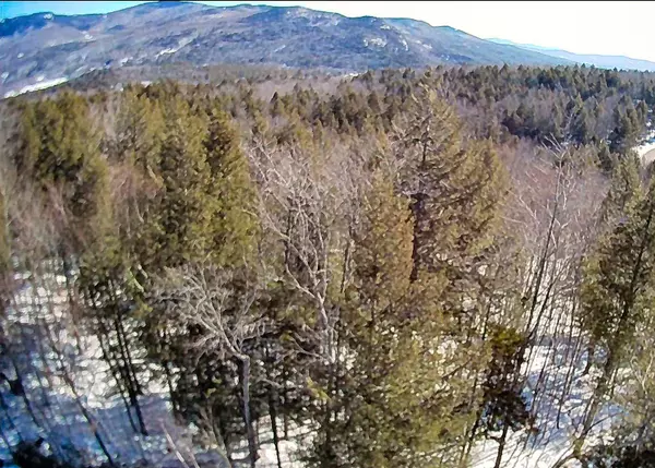 Lot 65 Snowbird LN, Newry, ME 04261