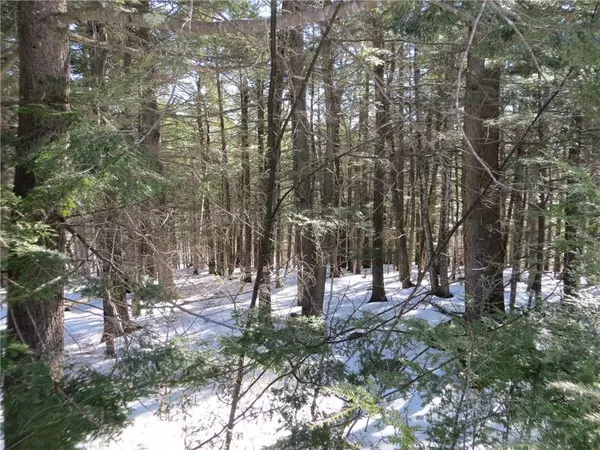 Newry, ME 04261,Lot 65 Snowbird LN