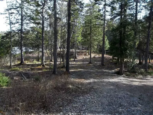 Robbinston, ME 04671,M5A L2L Western Lake