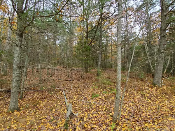 Sullivan, ME 04664,16 Evergreen Point RD