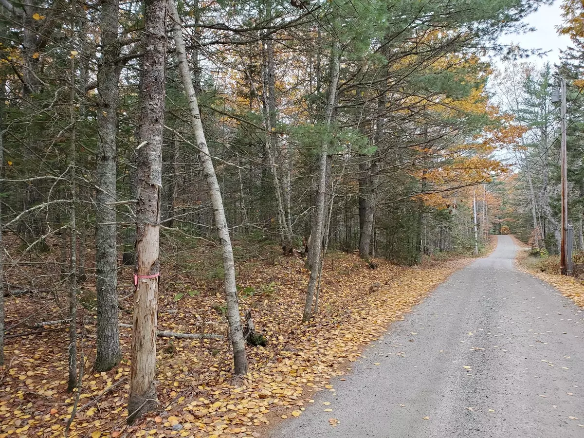 Sullivan, ME 04664,16 Evergreen Point RD