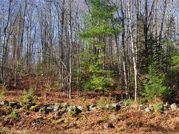 Waldoboro, ME 04572,Lot 17A Bremen RD