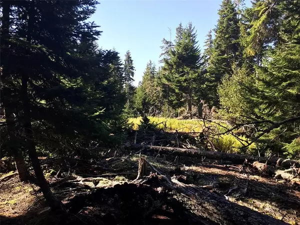 Swans Island, ME 04685,Lot 18 Jericho Bay RD
