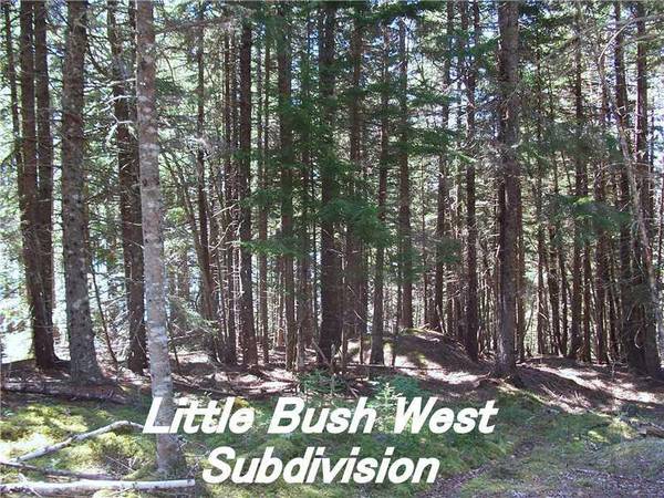 Lot 6 US Rte 191 Little Bush West, East Machias, ME 04630