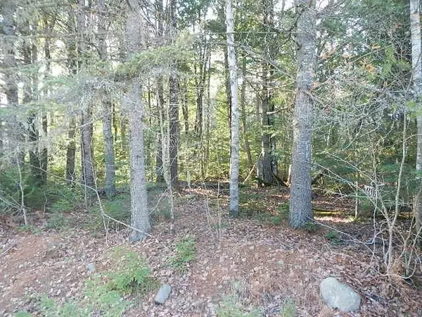 Howland, ME 04448,Lot 1 116 Route