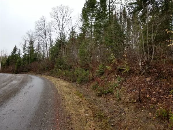 Fort Fairfield, ME 04742,Off Morse/forest Roads