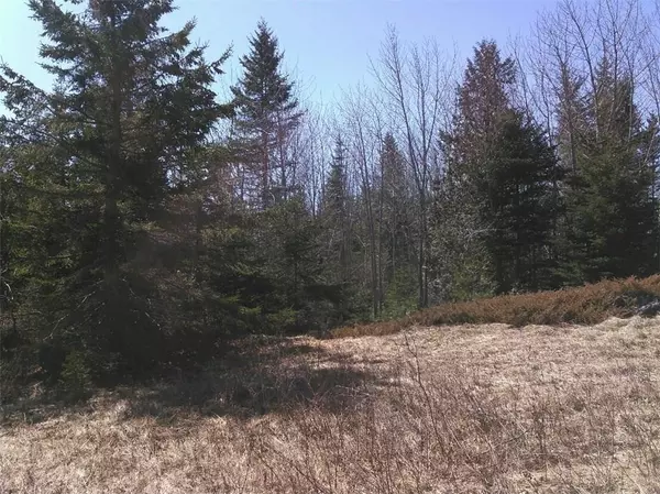 Gouldsboro, ME 04607,0 Us Route 1