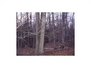 0 West Side DR, Verona Island, ME 04416