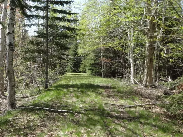 Tremont, ME 04653,55 Lighthouse RD