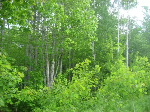 South Thomaston, ME 04858,Lot 1 Quarry TRL