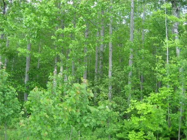 Lot 1 Quarry TRL, South Thomaston, ME 04858