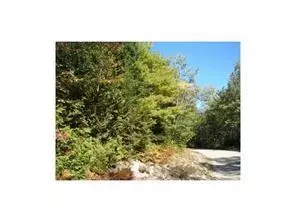 Lot 37 Two Lakes Drive, Northfield, ME 04654