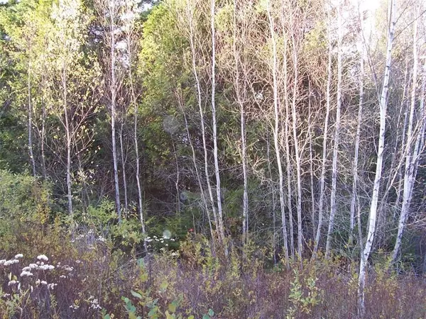 Gouldsboro, ME 04607,TBD W Bay RD