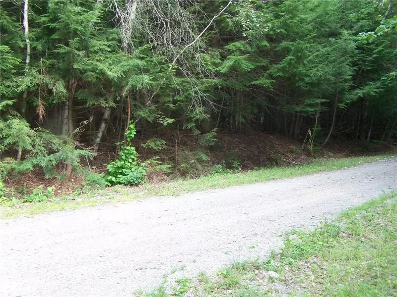 TBD Loop Road, Chester, ME 04457