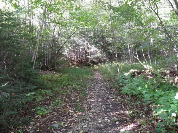 Sandy River Plt, ME 04970,000 Edelheid RD