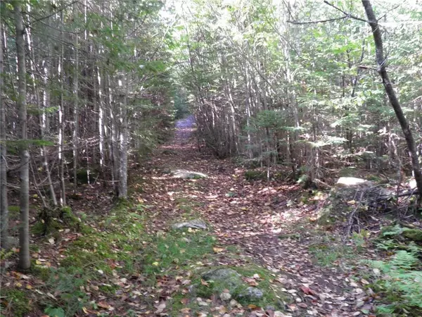 Sandy River Plt, ME 04970,000 Edelheid RD