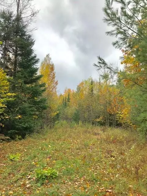 Lot 4 Winkumpaugh XING, Orland, ME 04472