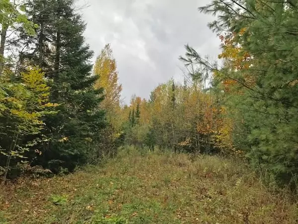 Lot 5 Winkumpaugh XING, Orland, ME 04472