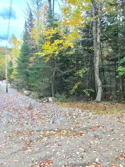 Lot 7 Winkumpaugh XING, Orland, ME 04472