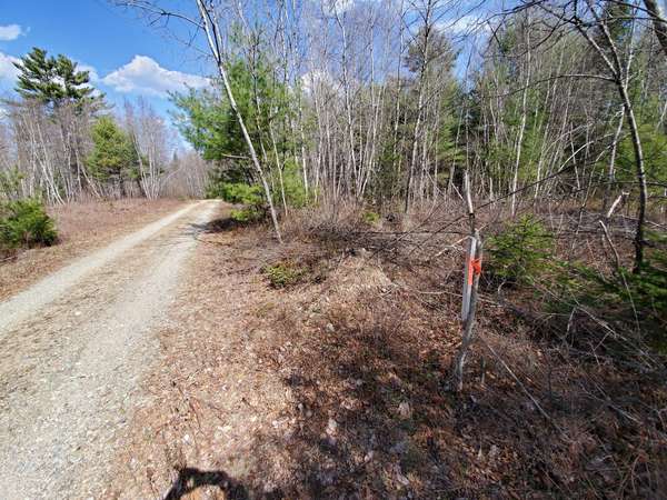 Lot 4 Scott Brook, Northfield, ME 04654