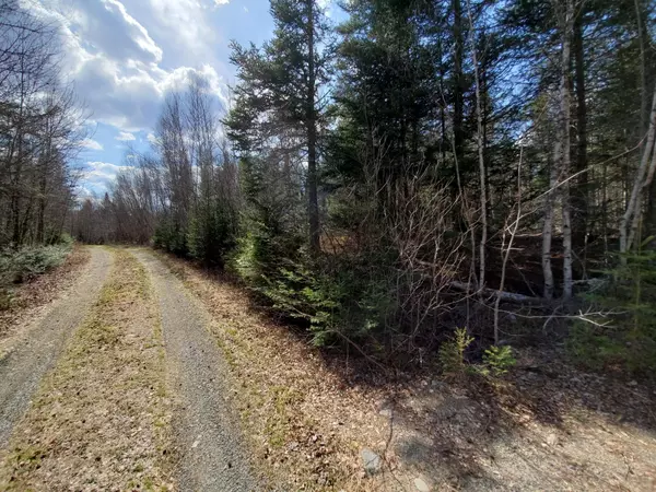 Northfield, ME 04654,Lot 5 Scott Brook