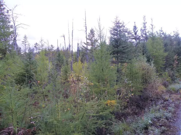 Northfield, ME 04654,Lot 7 Scott Brook
