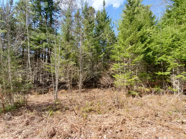 Northfield, ME 04654,Lot 7 Scott Brook
