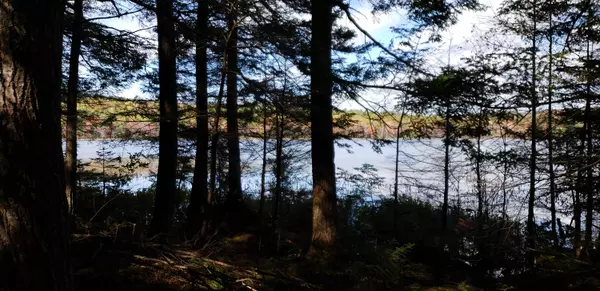 Waterford, ME 04088,000 Blackguard RD