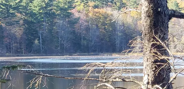 Waterford, ME 04088,000 Blackguard RD