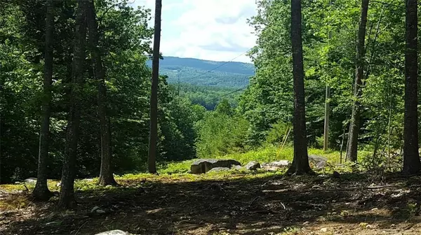 Waterford, ME 04268,Lot #9 McDaniels RD